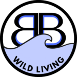 b 4